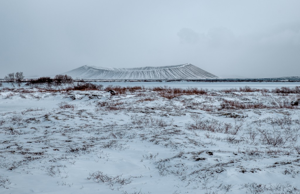 04-09-21-15.30.33.DNG