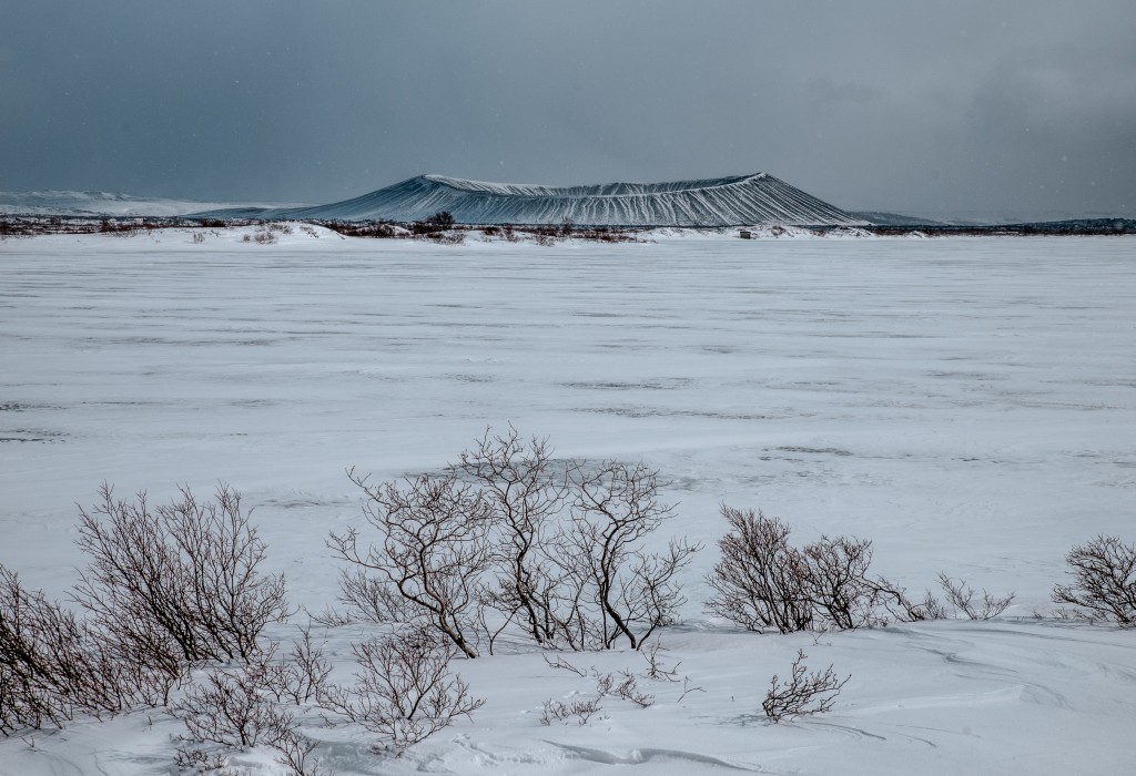 04-09-21-15.33.45.DNG