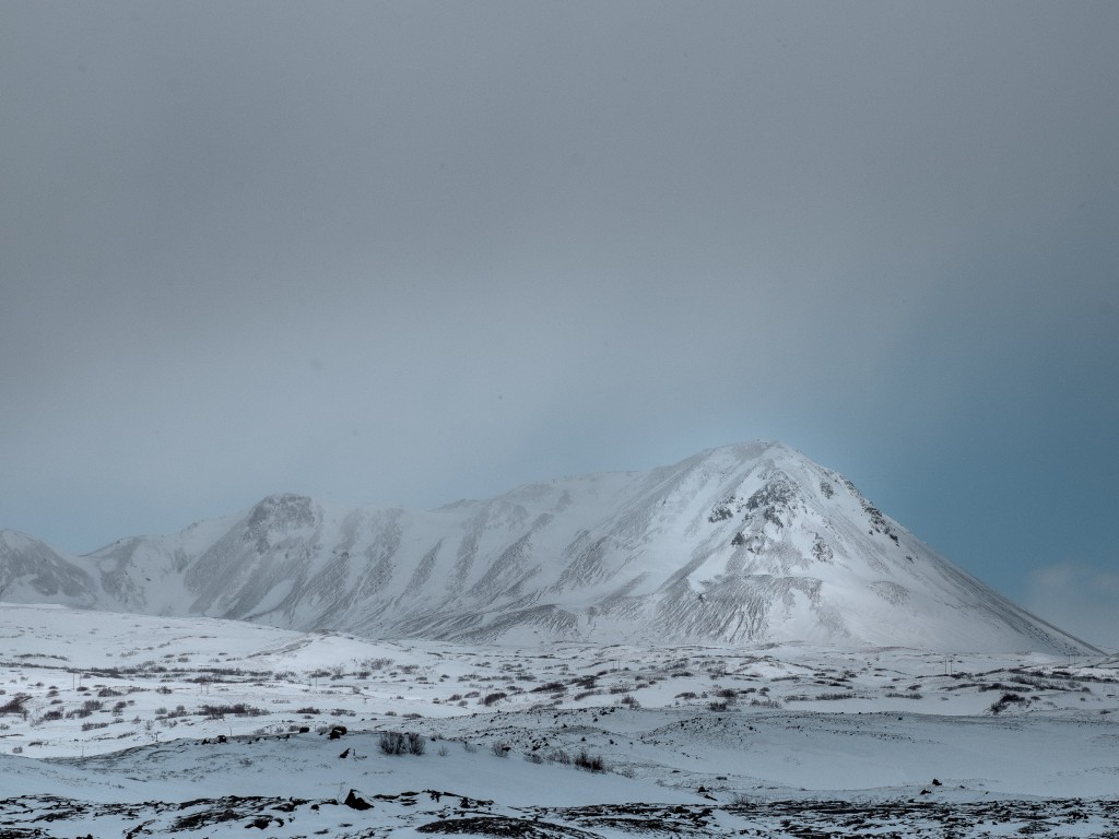 04-09-21-15.56.45.DNG