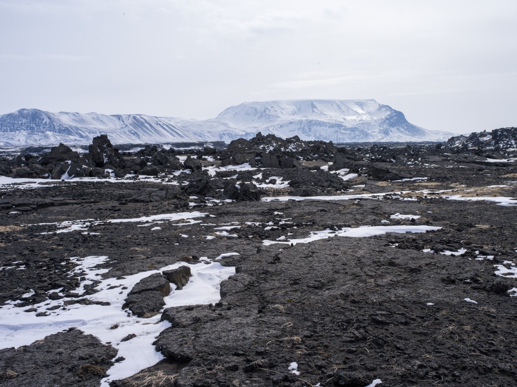 04-11-21-13.25.27.DNG