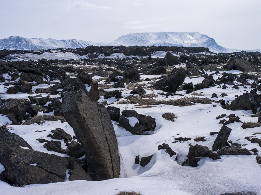 04-11-21-13.33.04.DNG