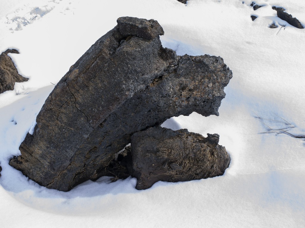 04-11-21-13.35.17.DNG