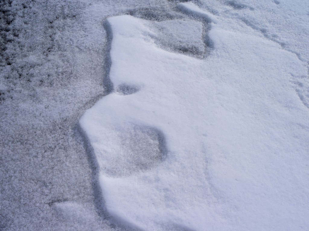 04-11-21-13.37.06.DNG