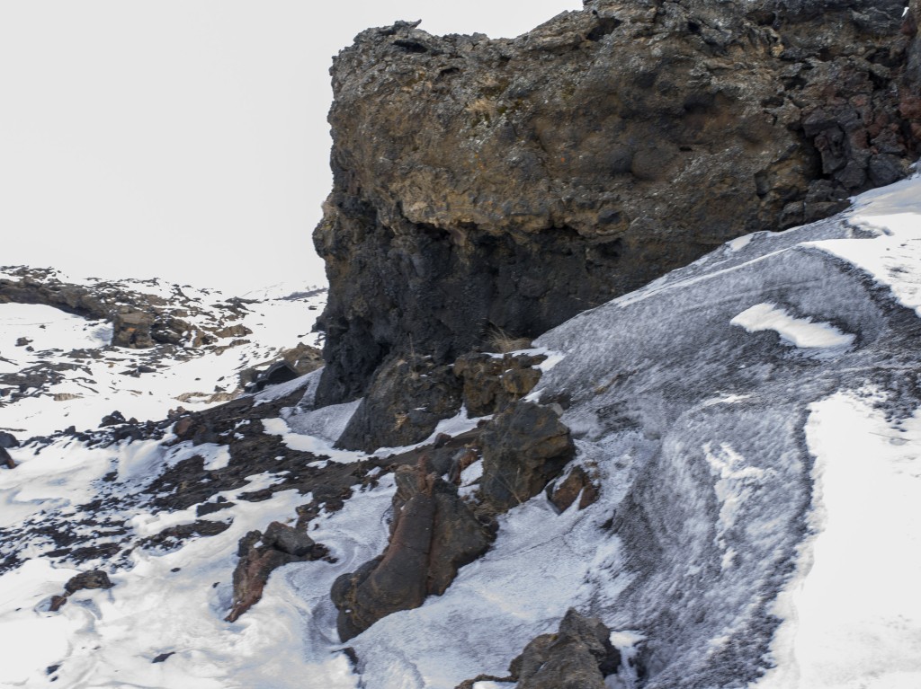 04-11-21-13.37.20.DNG