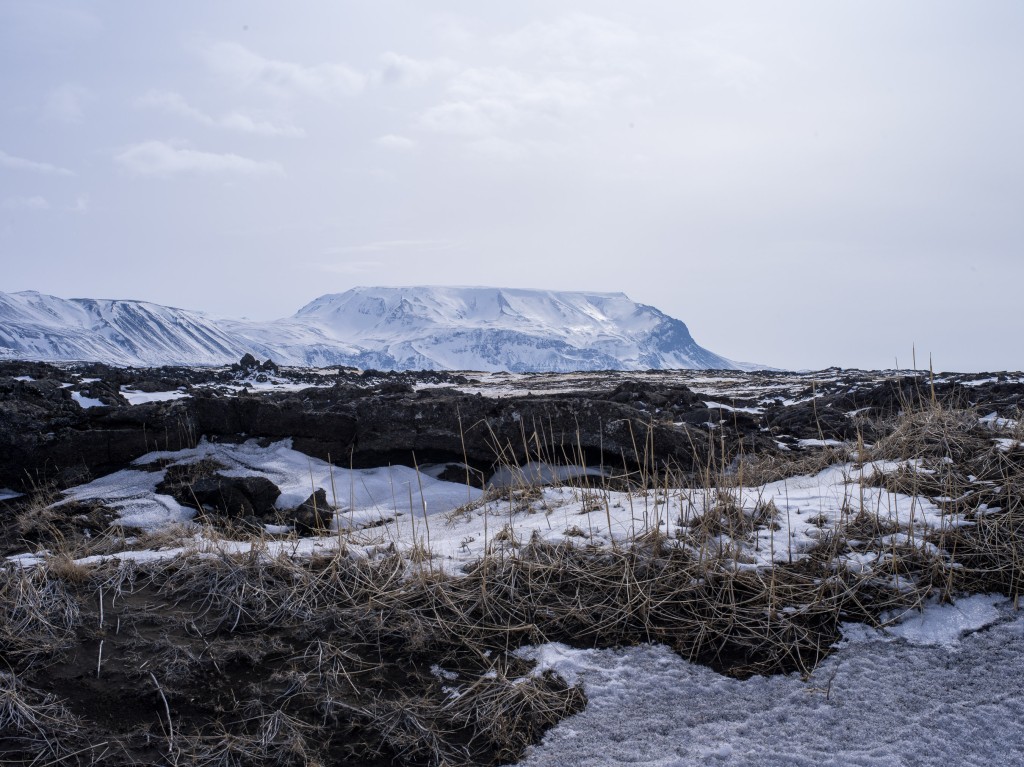 04-11-21-13.37.59.DNG