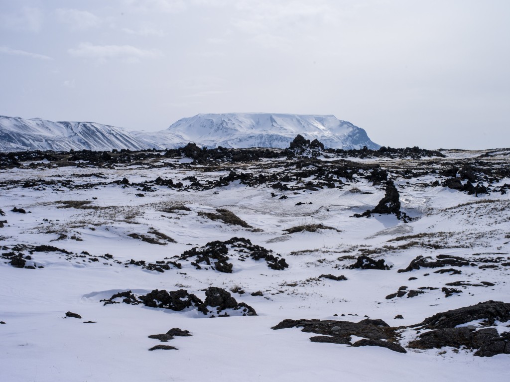 04-11-21-13.39.47.DNG