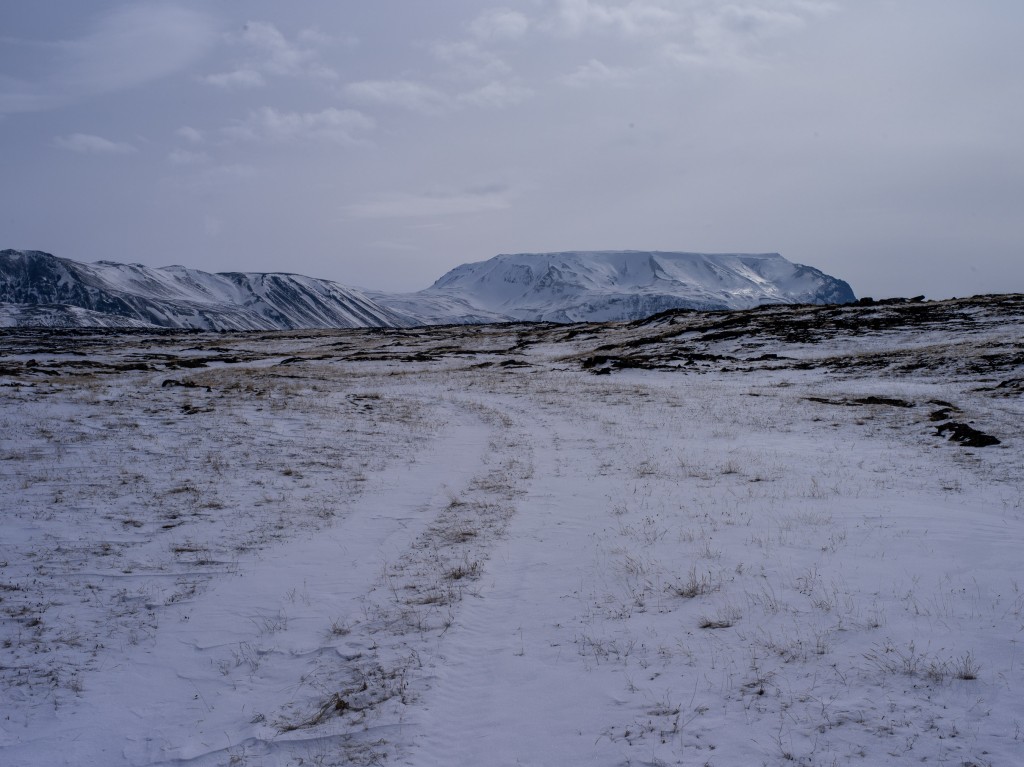 04-11-21-13.47.38.DNG