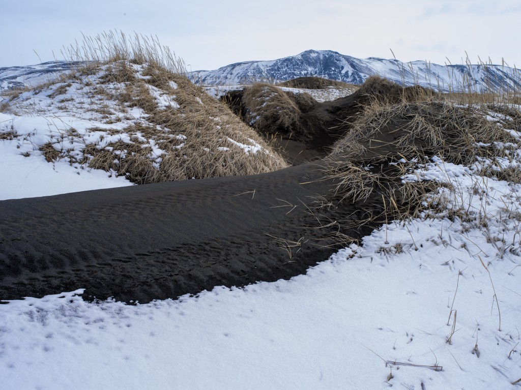 04-11-21-14.09.53.DNG