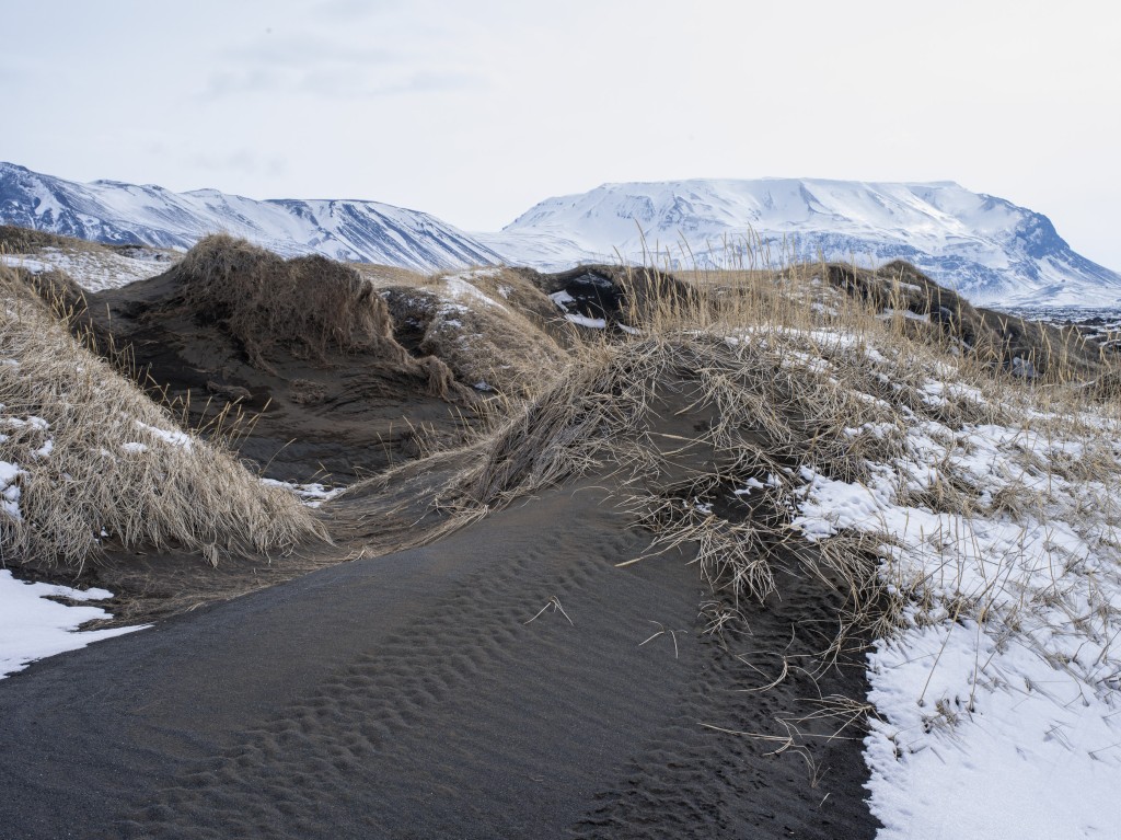 04-11-21-14.10.02.DNG