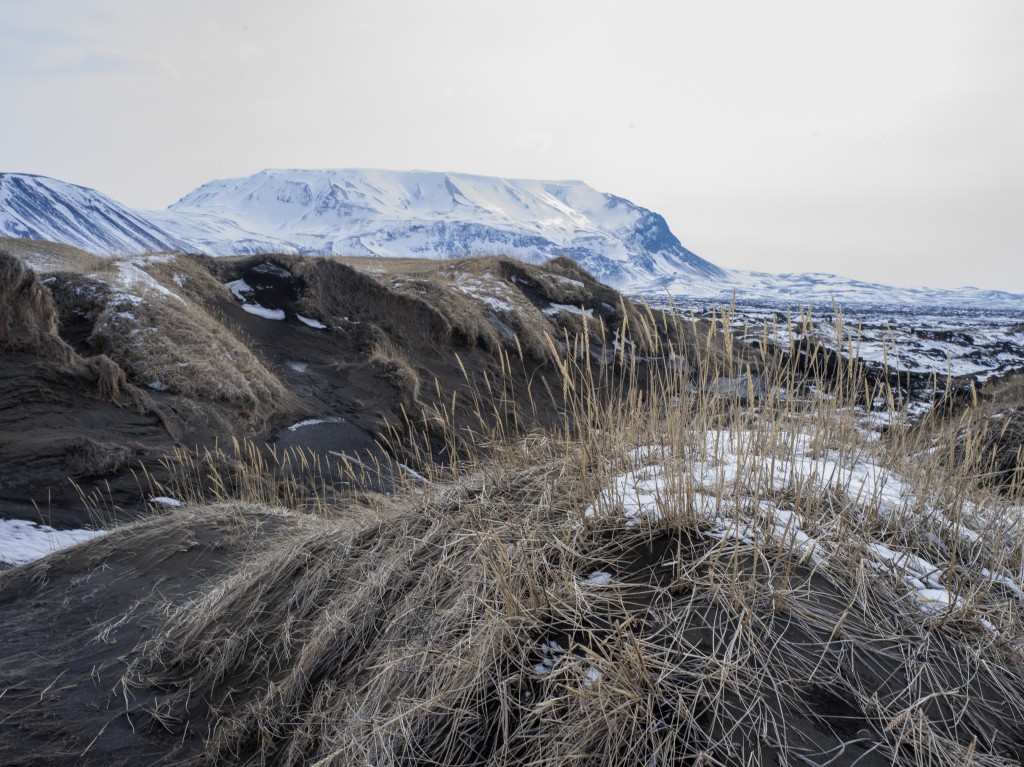 04-11-21-14.10.14.DNG