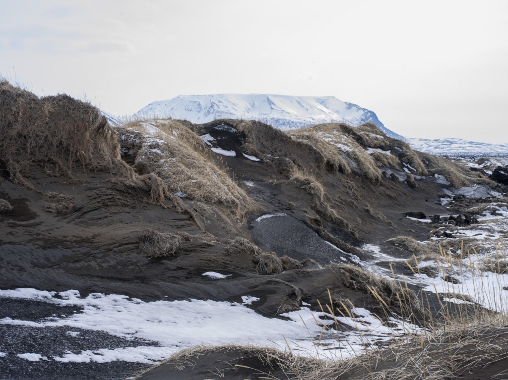 04-11-21-14.10.28.DNG