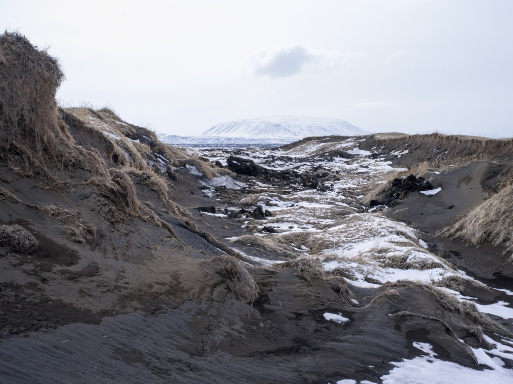 04-11-21-14.10.53.DNG