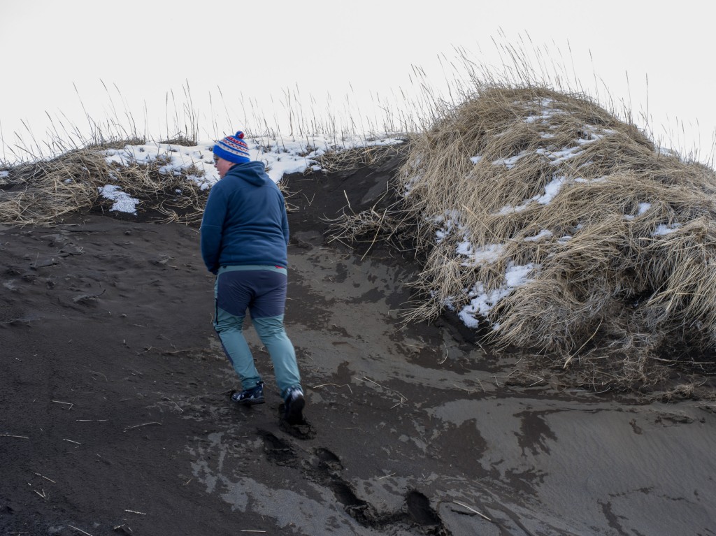 04-11-21-14.11.01.DNG