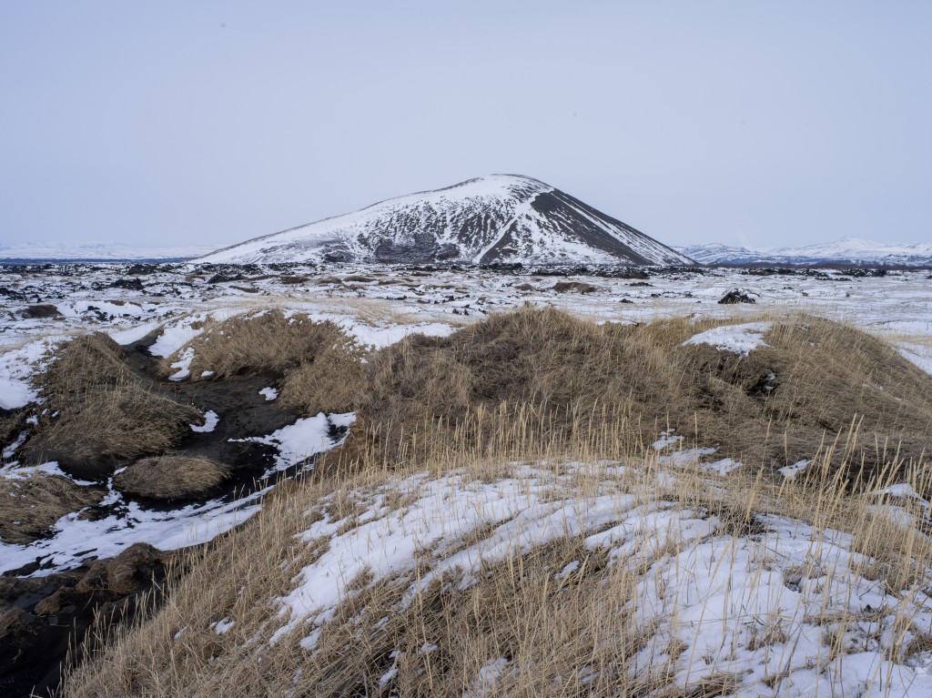 04-11-21-14.12.32.DNG