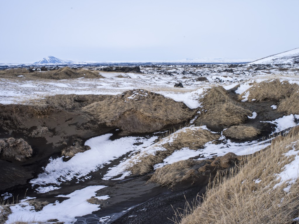 04-11-21-14.12.34.DNG