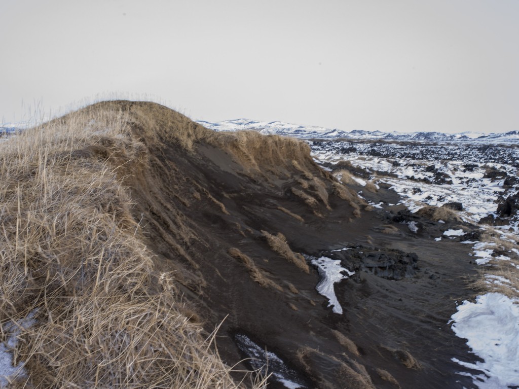 04-11-21-14.13.52.DNG