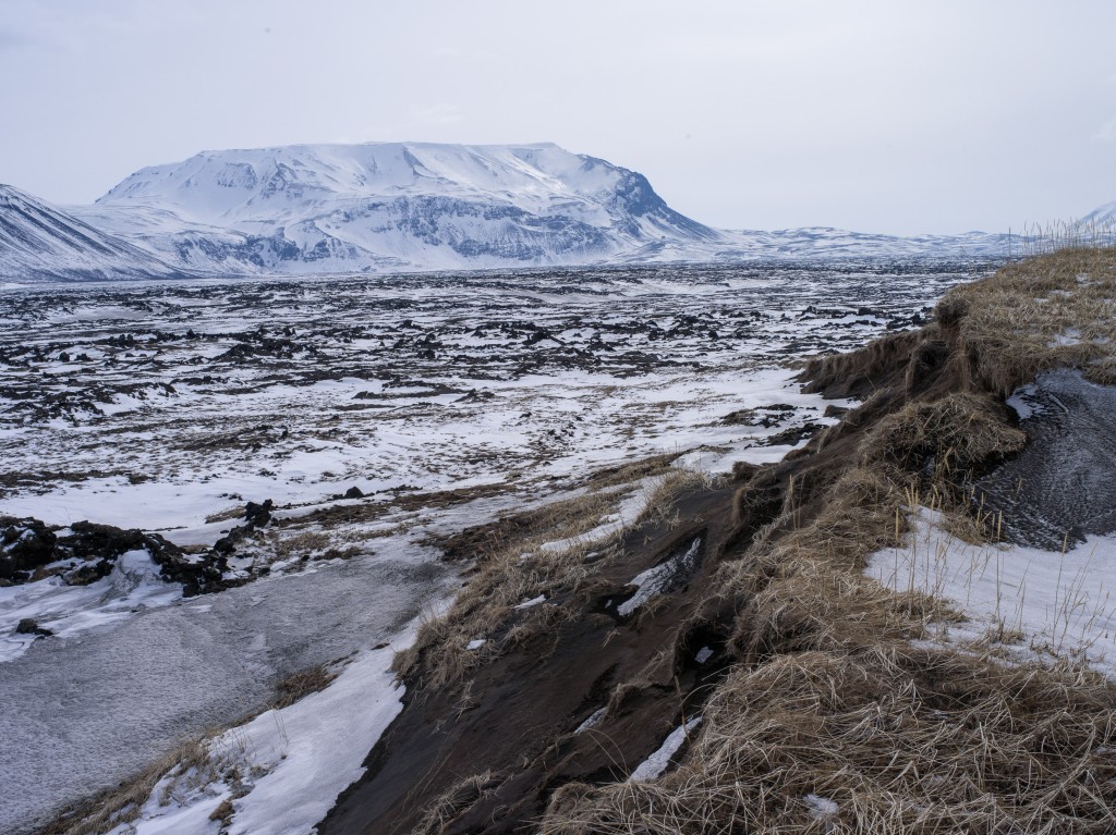 04-11-21-14.14.01.DNG