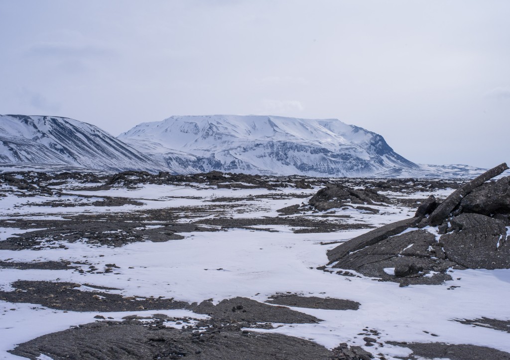 04-11-21-14.24.38.DNG