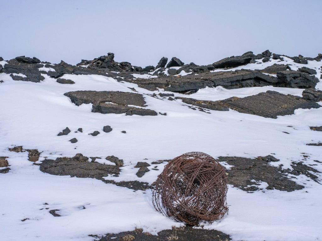 04-11-21-14.25.17.DNG