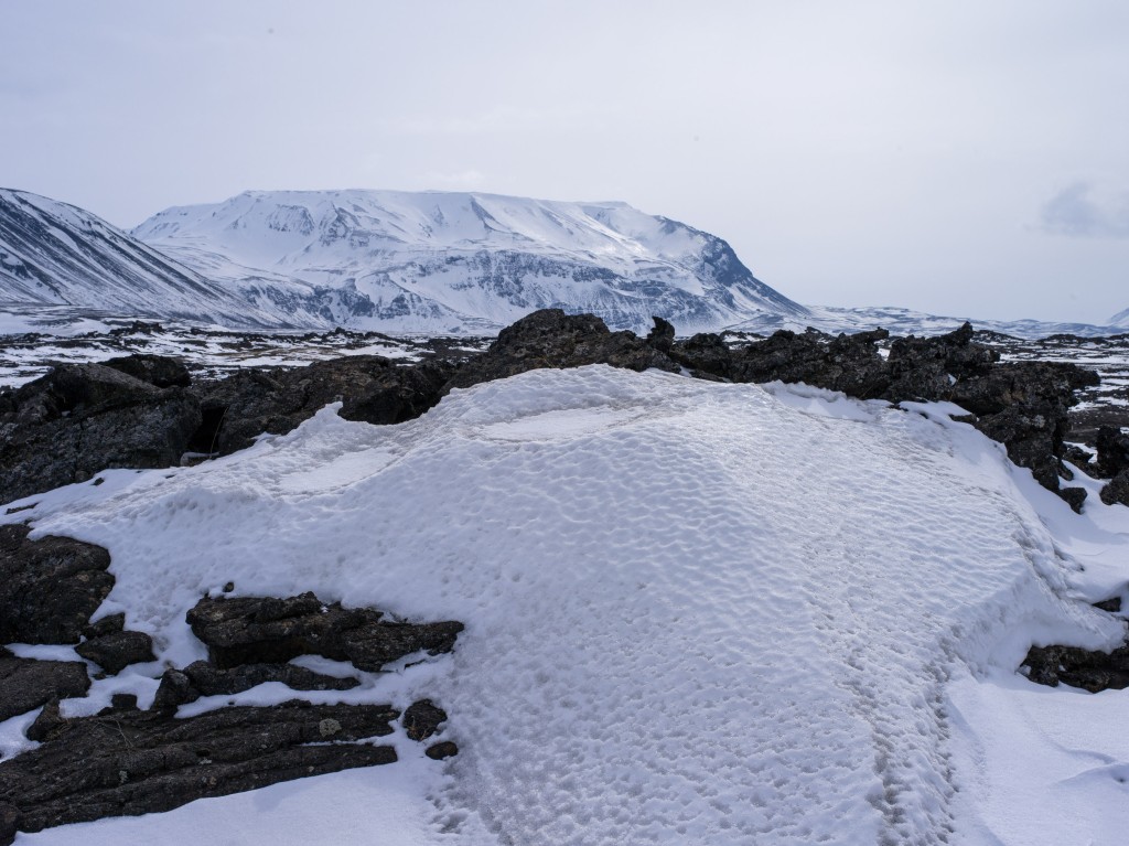 04-11-21-14.28.52.DNG