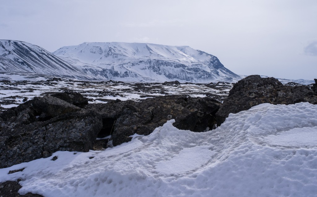 04-11-21-14.28.58.DNG