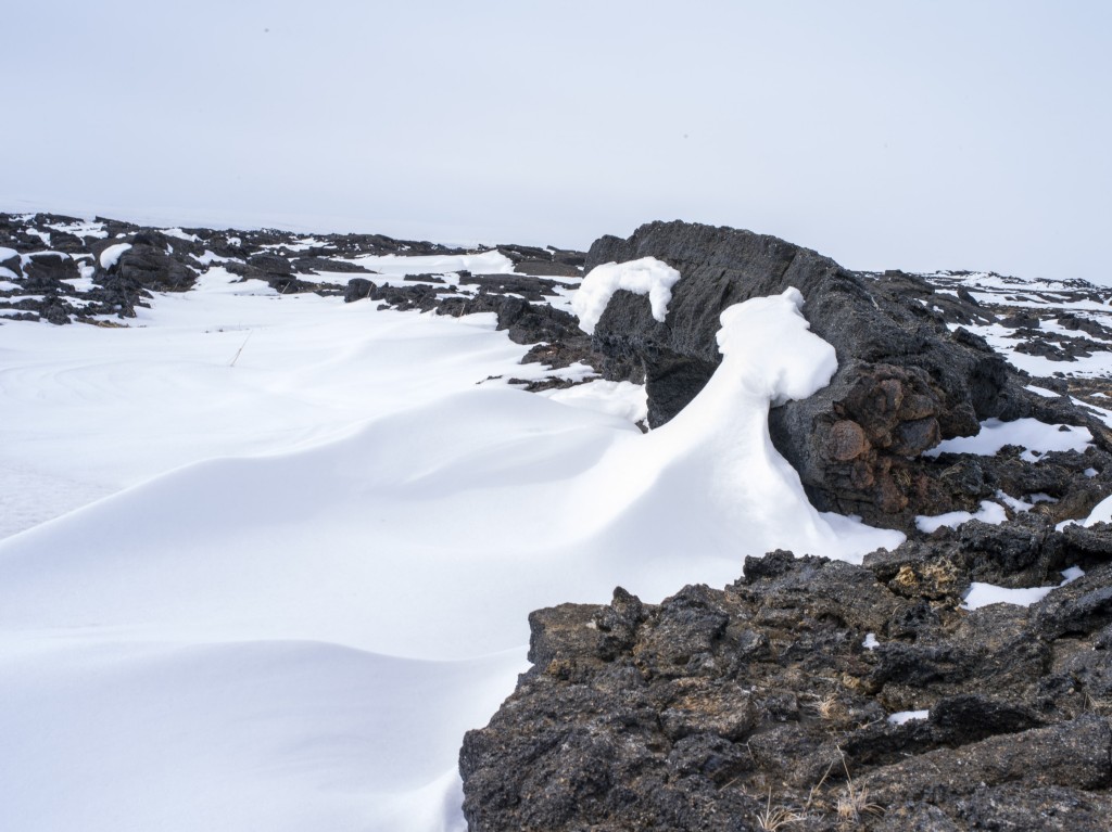 04-11-21-14.36.52.DNG