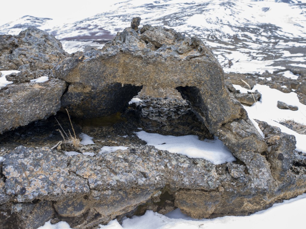 04-11-21-14.41.38.DNG