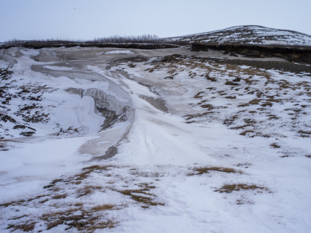 04-11-21-14.55.28.DNG