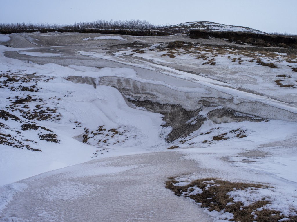 04-11-21-14.55.47.DNG