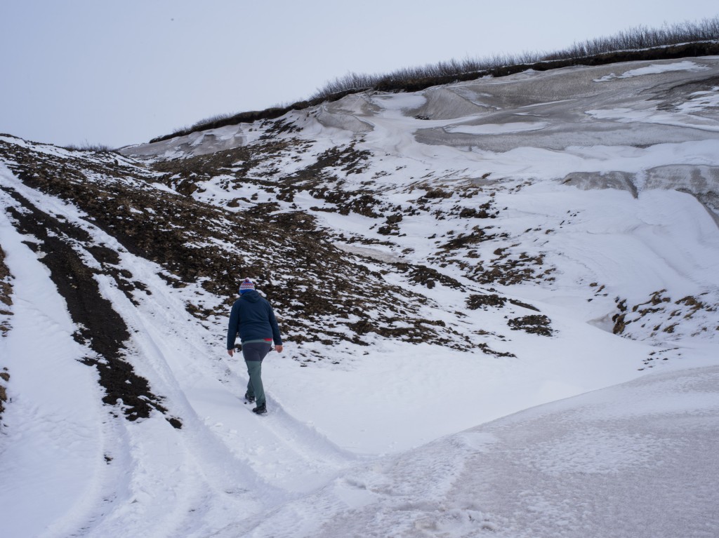 04-11-21-14.55.48.DNG