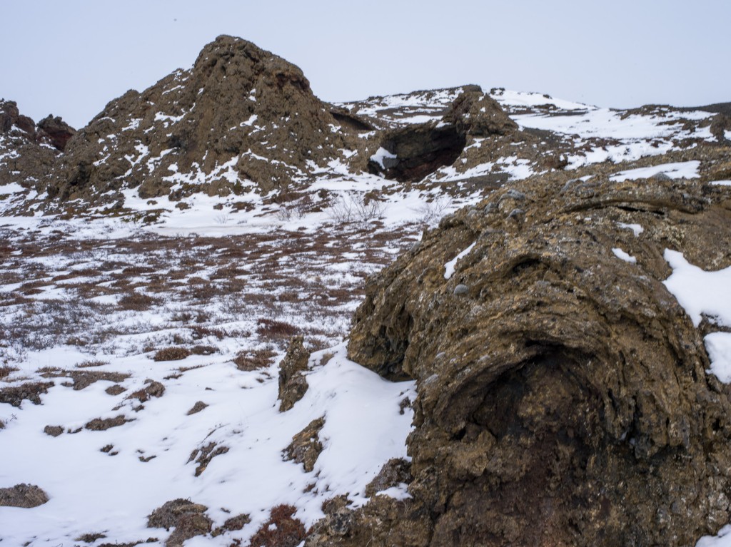 04-11-21-15.01.48.DNG