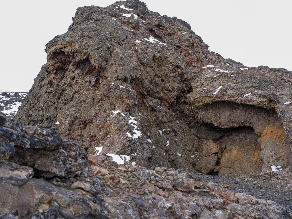 04-11-21-15.03.44.DNG