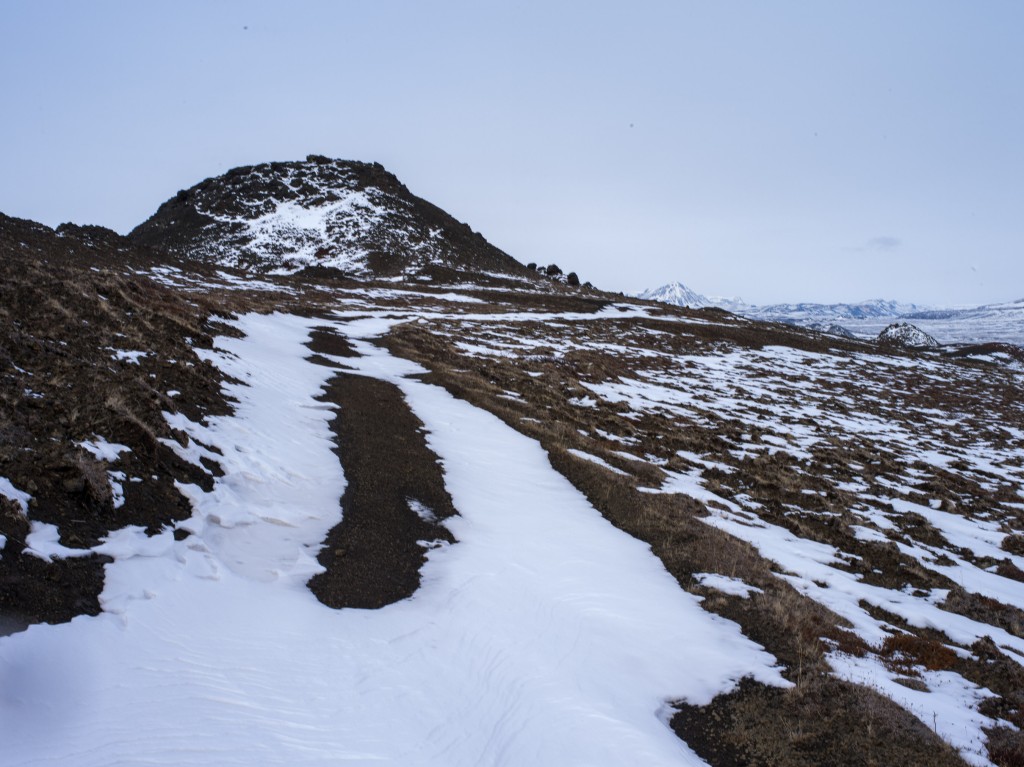 04-11-21-15.09.40.DNG