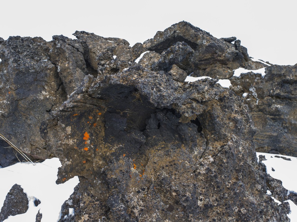 04-11-21-15.37.10.DNG