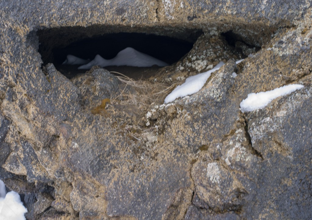 04-11-21-15.38.45.DNG