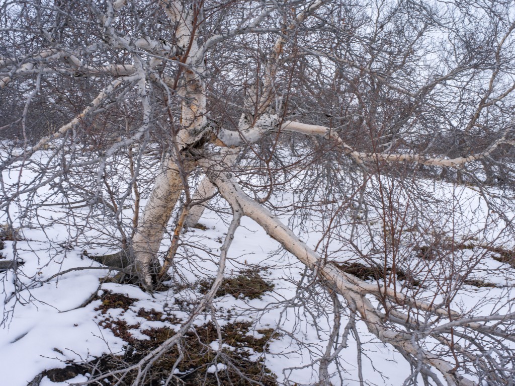 04-11-21-16.04.56.DNG