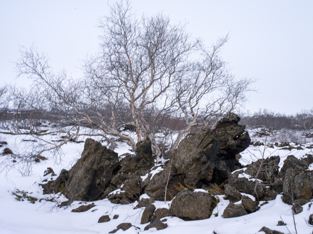 04-11-21-16.07.11.DNG