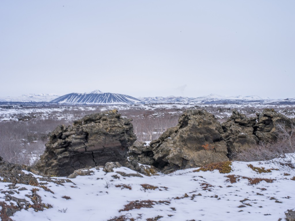 04-11-21-16.11.17.DNG