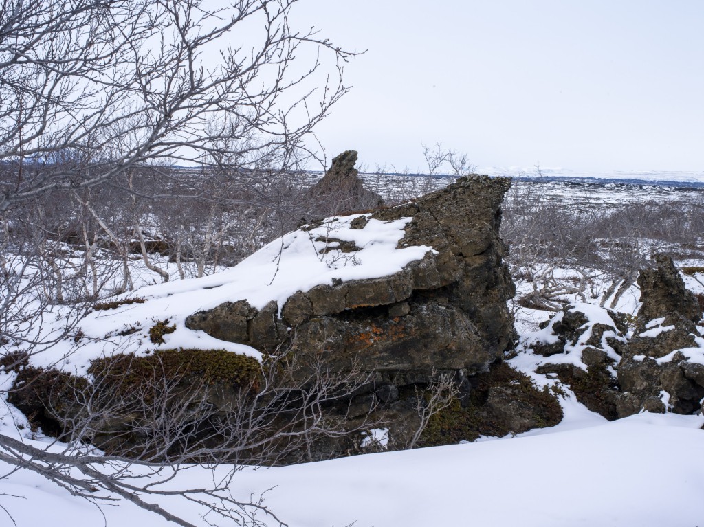 04-11-21-16.13.05.DNG