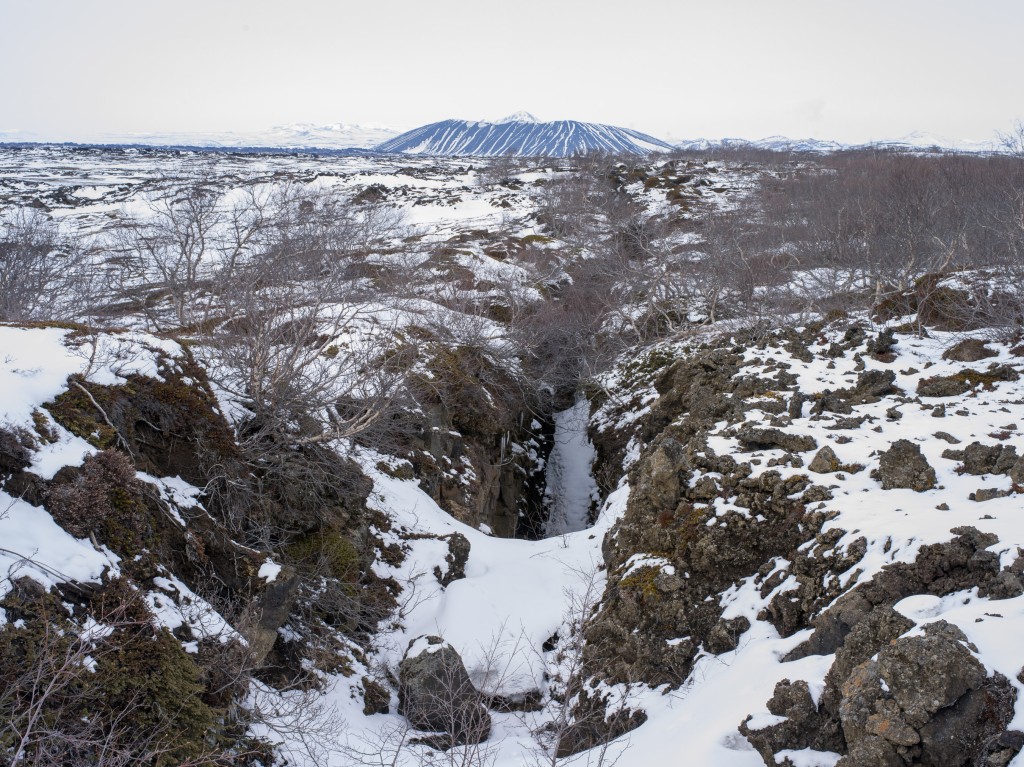 04-11-21-16.14.44.DNG