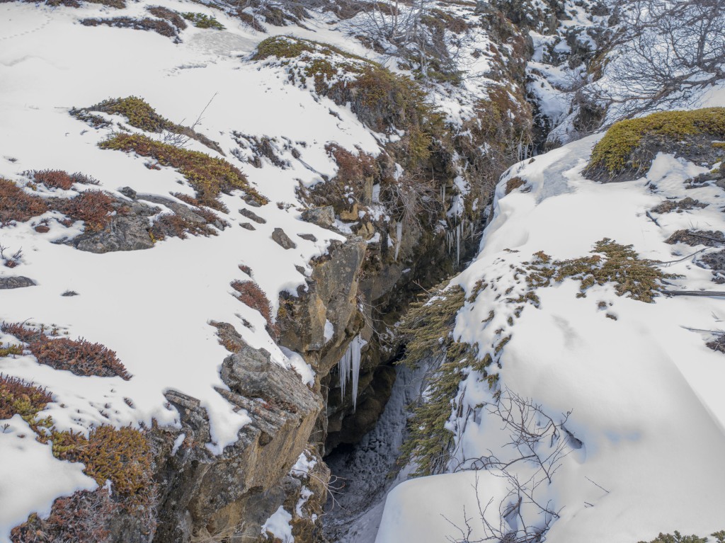 04-11-21-16.17.11.DNG