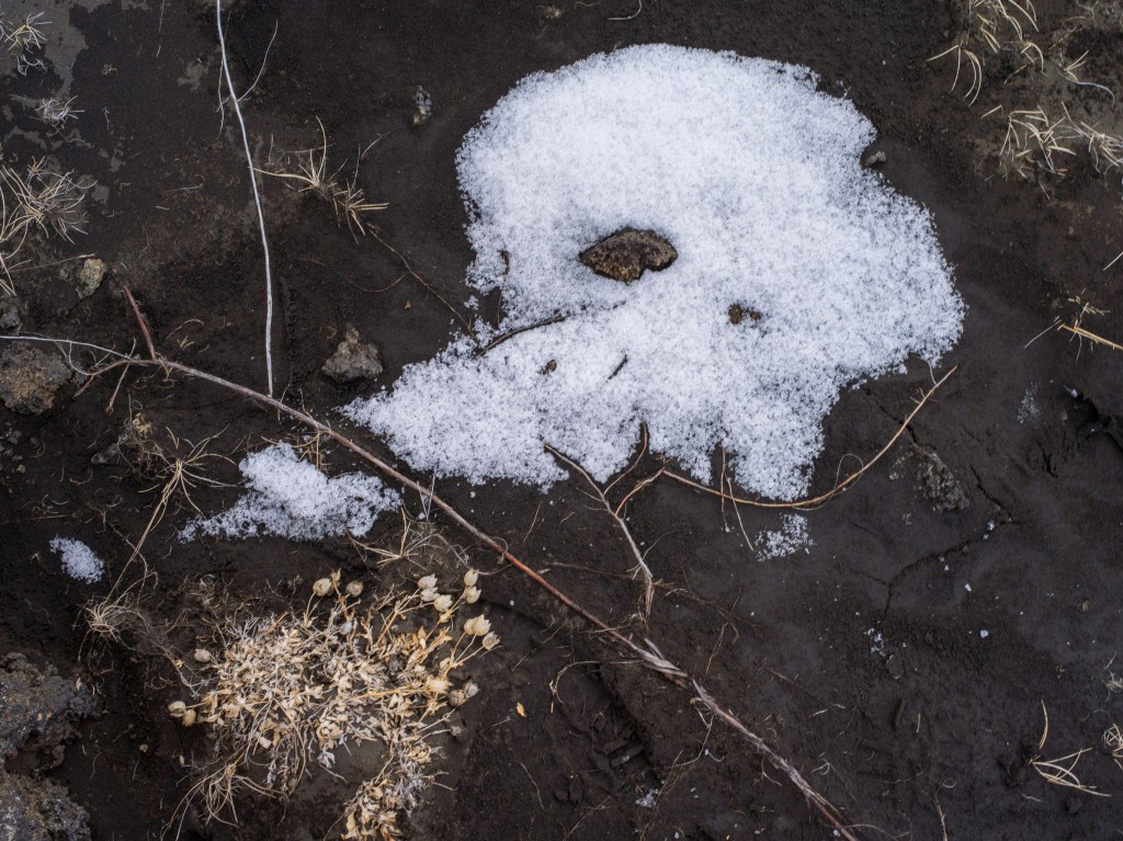 04-11-21-16.23.53.DNG