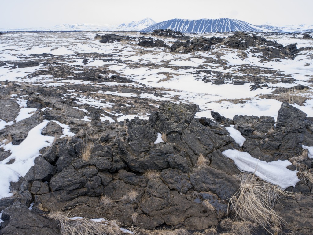 04-11-21-16.47.52.DNG