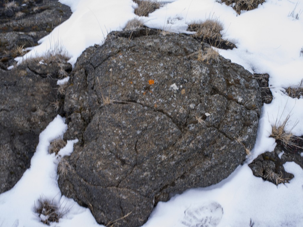 04-11-21-16.48.46.DNG