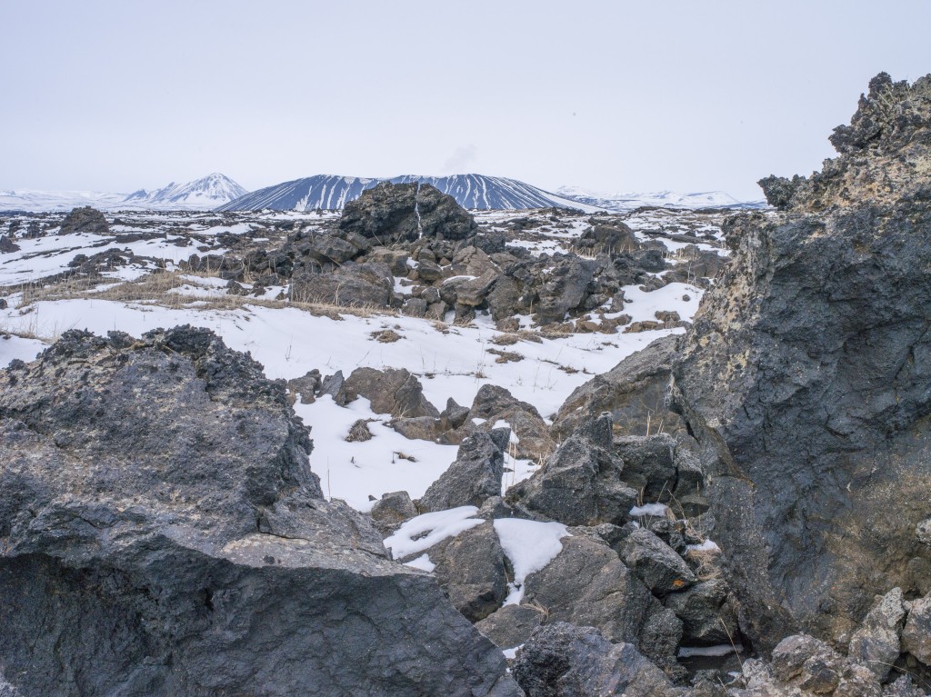 04-11-21-16.51.28.DNG