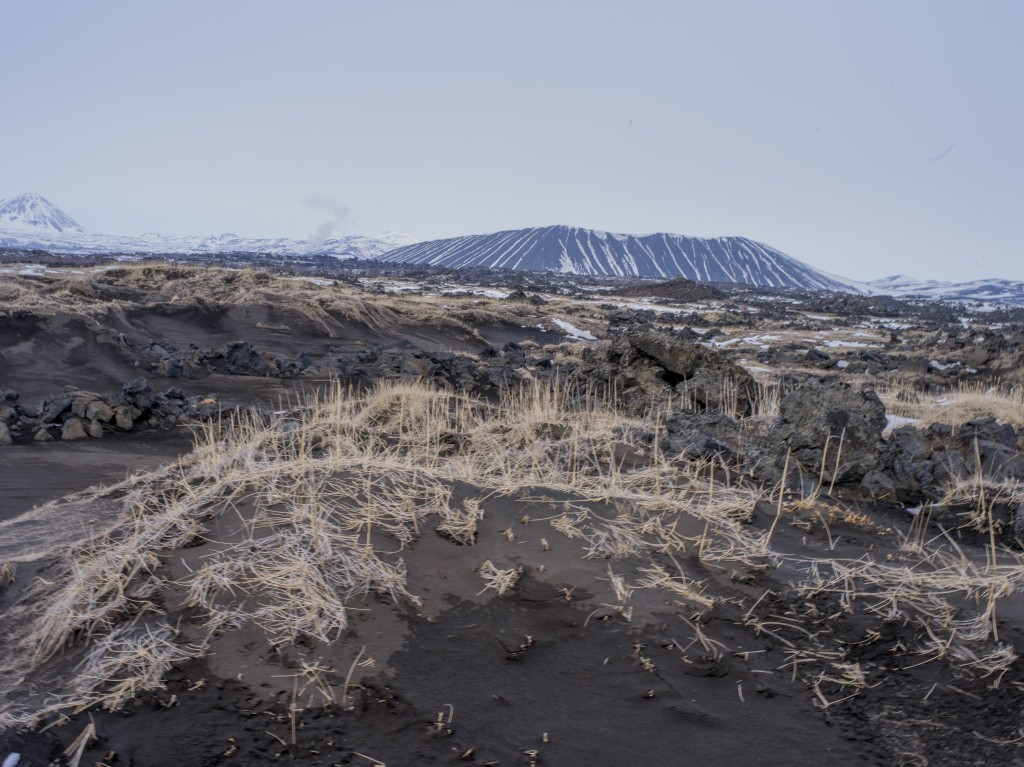 04-11-21-17.31.49.DNG