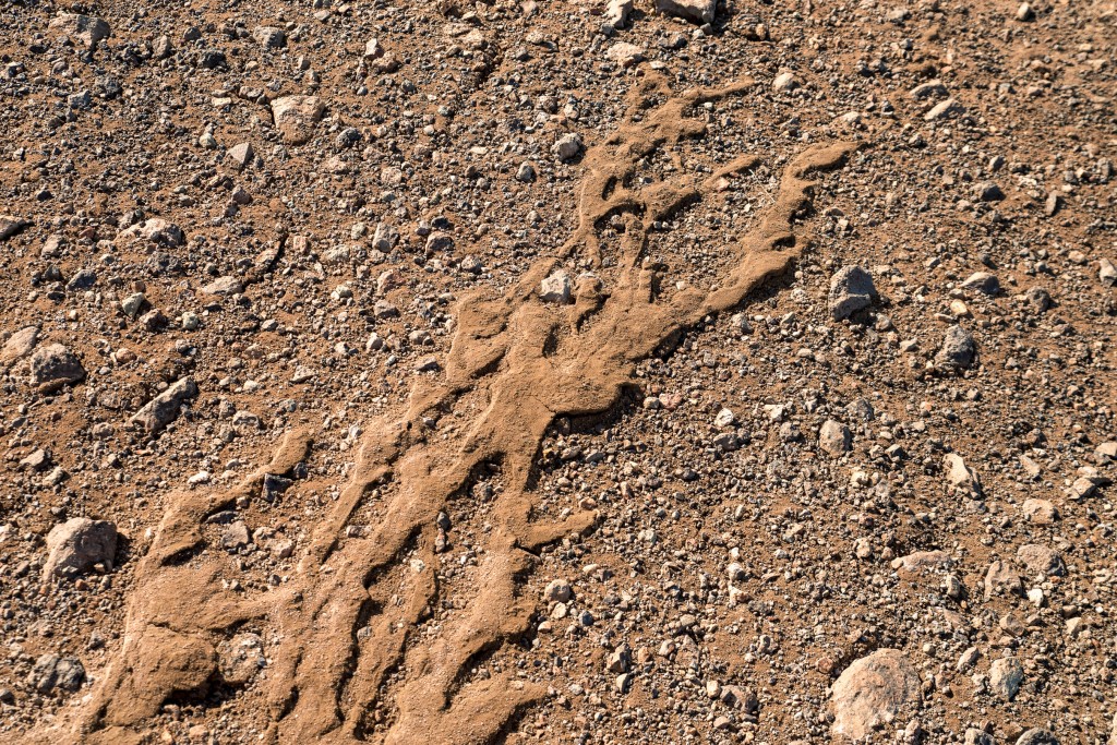 04-12-21-16.42.52.DNG