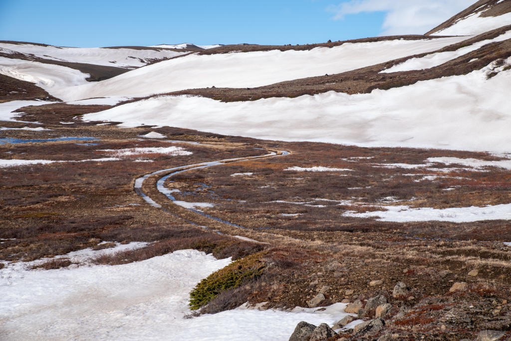 04-16-21-15.42.30.DNG