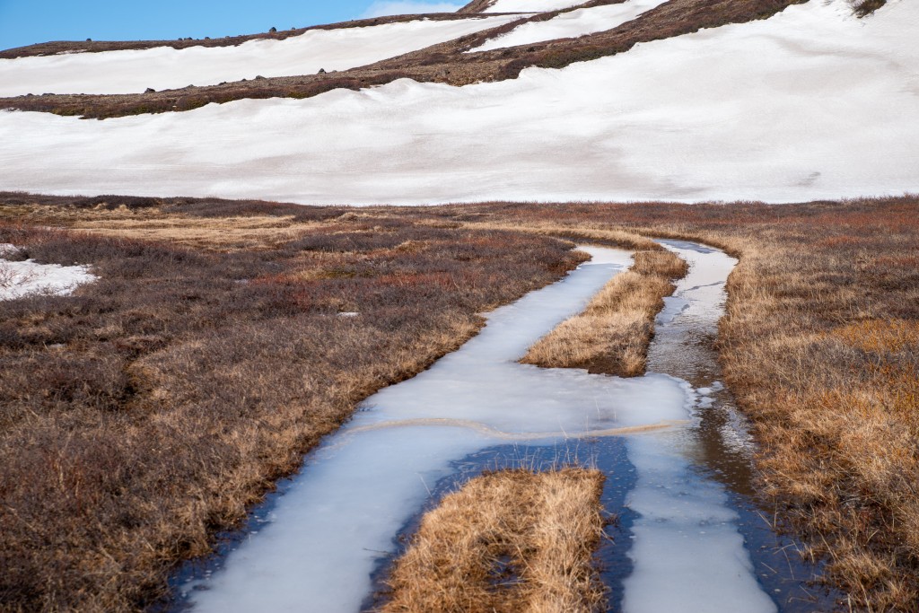 04-16-21-15.44.13.DNG