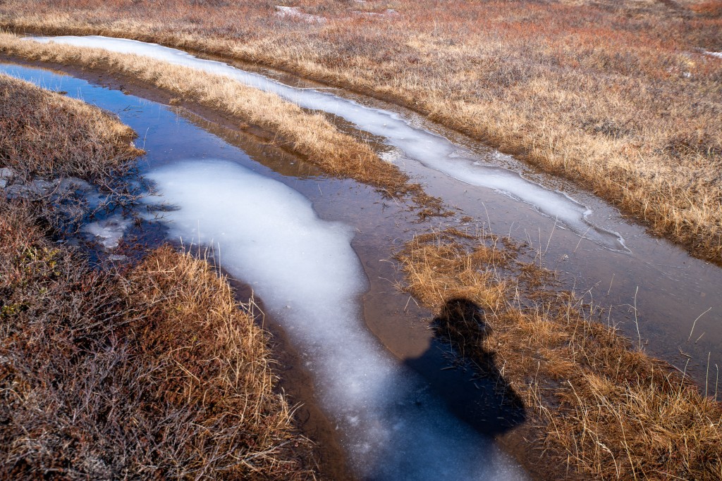 04-16-21-15.45.06.DNG